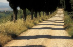tuscan avenue