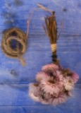 dried flowers 1