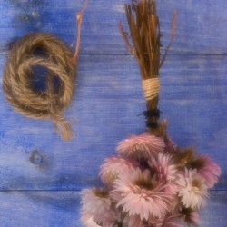 dried flowers 1