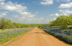 mason county backroad