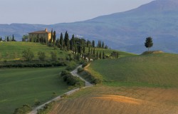 tuscan landscape