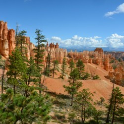 bryce 02